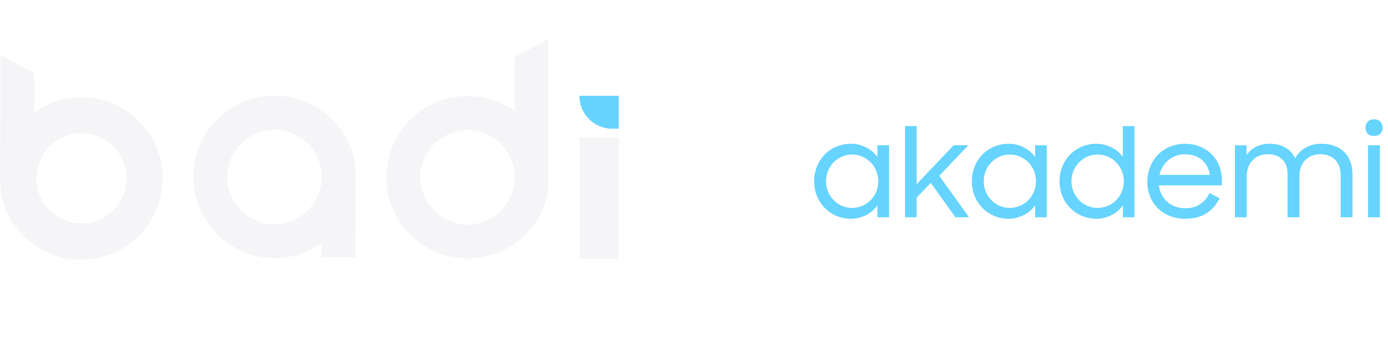 Badi Akademi Logo